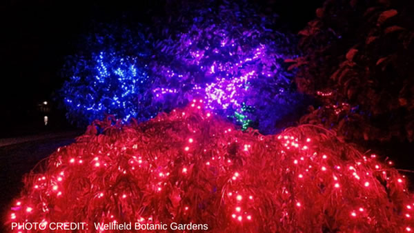 Elkhart Wellfield Botanic Gardens